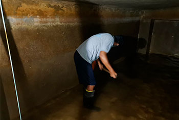 Tarjetero en Silicona